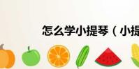 怎么學小提琴(小提琴學習)