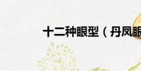 十二種眼型(丹鳳眼好看嗎)
