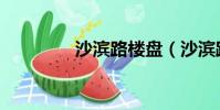 沙濱路樓盤(沙濱路租房)