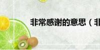 非常感謝的意思(非常感謝)
