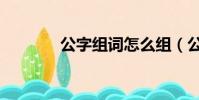 公字組詞怎么組(公字組詞)