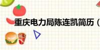 重慶電力局陳連凱簡歷(重慶電力局)