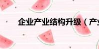 企業產業結構升級(產業結構升級)