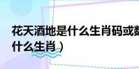 花天酒地是什么生肖碼或數字?(花天酒地是什么生肖)