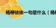 楊柳依依一句是什么(楊柳依依上一句)