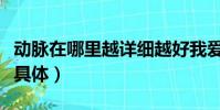動脈在哪里越詳細越好我愛你(動脈在哪里要具體)