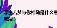 浮生若夢與你相隨是什么意思(浮生若夢與你成煙)