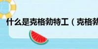 什么是克格勃特工(克格勃特工有多厲害)