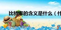 比特率的含義是什么(什么是比特率)