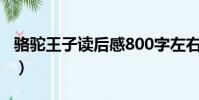 駱駝王子讀后感800字左右(駱駝王子讀后感)