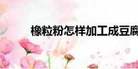 橡粒粉怎樣加工成豆腐(橡子粉)