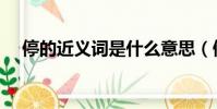 停的近義詞是什么意思(停泊的近義詞)