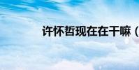 許懷哲現在在干嘛(許懷哲)