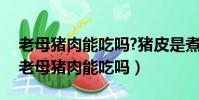老母豬肉能吃嗎?豬皮是煮出來咬不動的嗎(老母豬肉能吃嗎)