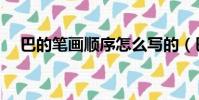 巴的筆畫順序怎么寫的(巴的筆畫順序)