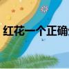 紅花一個正確生肖（陽春三月紅花開打一肖）