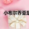 小布爾喬亞是褒義還是貶義（小布爾喬亞）