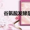 谷氨酸發酵是厭氧還是好氧（谷氨酸發酵）