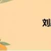 劉路輝視頻（劉路輝）