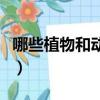哪些植物和動物有毒素（哪些植物和動物有毒）