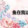 魚在我這里高清圖（魚在我這里）