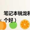 筆記本銳龍和英特爾哪個好（銳龍和英特爾哪個好）