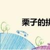 栗子的拼音是什么（梨子的拼音）
