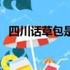 四川話草包是什么意思（草包是什么意思）