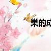 巢的成語有哪些（巢的成語）