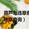 葫蘆島違章查詢違章車輛查詢怎么查（葫蘆島違章查詢）