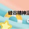 硅谷精神活著是為了什么（硅谷精神）