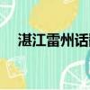 湛江雷州話翻譯在線轉換器（湛江雷州）