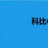 科比6代多少錢（科比6代）