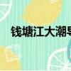 錢塘江大潮導游詞100字（導游詞100字）
