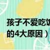 孩子不愛吃飯的4大原因 青島（孩子不愛吃飯的4大原因）