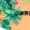 小米養胃嗎 知乎（小米養胃嗎）