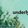 underlying翻譯（underlying）