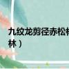 九紋龍剪徑赤松林魯智深火燒瓦罐寺概括（九紋龍剪徑赤松林）