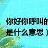 你好你呼叫的用戶正忙是什么意思（用戶正忙是什么意思）