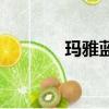 瑪雅藍是什么顏色（瑪雅藍）