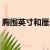 胸圍英寸和厘米的換算（英寸和厘米的換算）