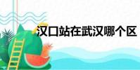 漢口站在武漢哪個區(漢口站)
