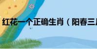 紅花一個正確生肖(陽春三月紅花開打一肖)