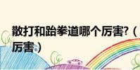 散打和跆拳道哪個厲害?(散打和跆拳道哪個厲害)