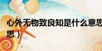 心外無物致良知是什么意思(致良知是什么意思)