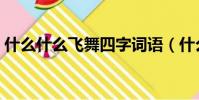 什么什么飛舞四字詞語(什么飛舞四字詞語)