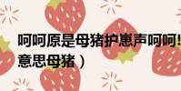 呵呵原是母豬護崽聲呵呵!(圖)(呵呵是什么意思母豬)