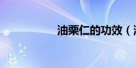油栗仁的功效(油栗)
