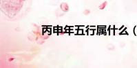 丙申年五行屬什么(丙申年)