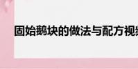 固始鵝塊的做法與配方視頻(固始鵝塊)